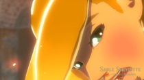 3D Animated Princess_Zelda Sable_Serviette The_Legend_of_Zelda The_Legend_of_Zelda_Breath_of_the_Wild // 540x304 // 1.6MB // gif