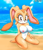 Cream_the_Rabbit Sonic_(Series) // 1164x1330 // 1.1MB // png