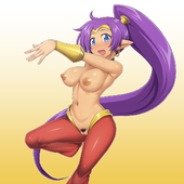 Shantae Shantae_(Game) // 1200x1200 // 521.7KB // jpg