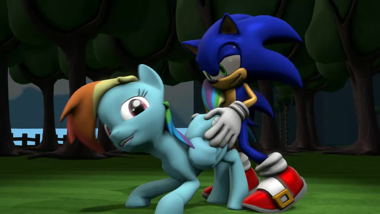 3D Animated My_Little_Pony_Friendship_Is_Magic Rainbow_Dash Sonic_(Series) Sonic_The_Hedgehog Source_Filmmaker // 1280x720 // 456.9KB // webm