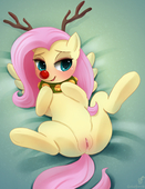 Fluttershy Guinefurrie My_Little_Pony_Friendship_Is_Magic // 1280x1656 // 1.8MB // png