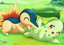 Chikorita_(Pokémon) Cyndaquil_(Pokémon) Pokemon // 1838x1300 // 226.0KB // jpg