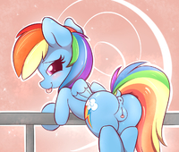 My_Little_Pony_Friendship_Is_Magic Rainbow_Dash elzzombie // 1280x1090 // 1.1MB // png